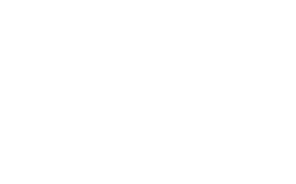 transcom-logo